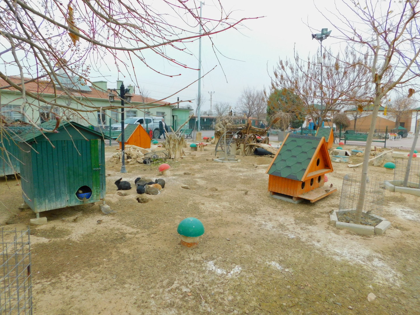 Rabbit Enclosure at the Karatay Zoo