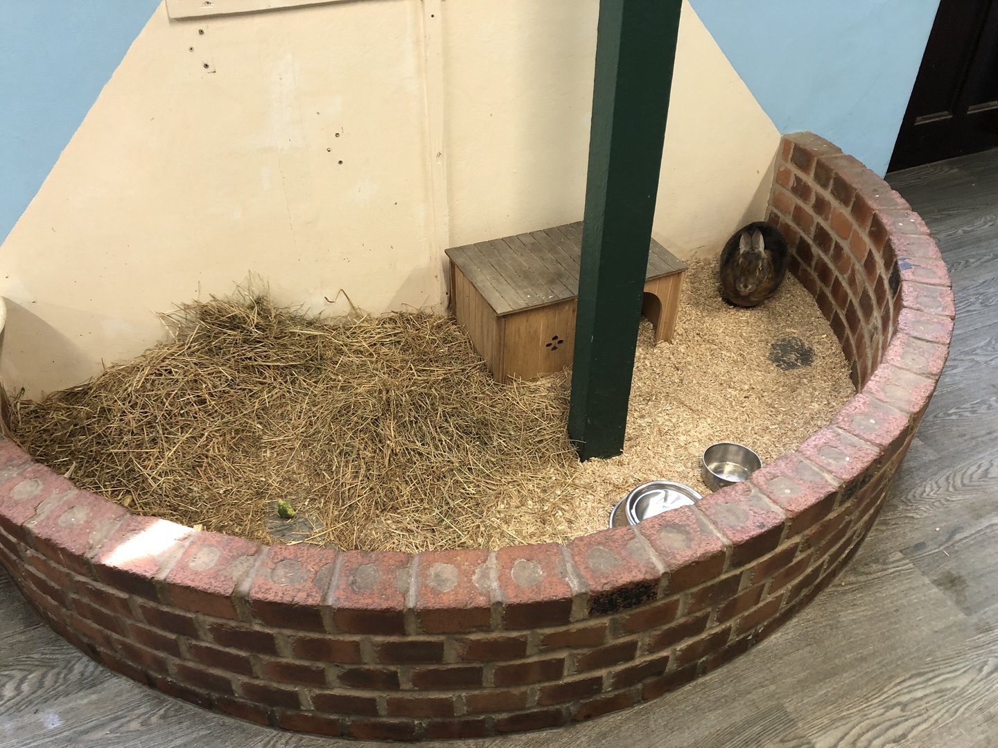 Rabbit Enclosure at Tropical Butterfly House (March 2023)