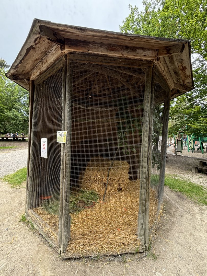 Rabbit Enclosure at Wildpark Poing