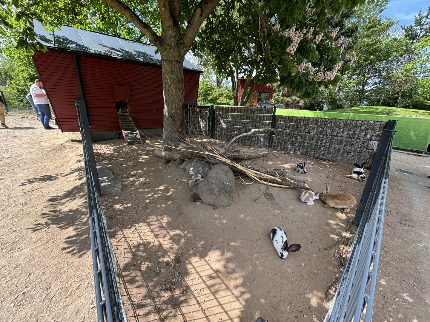 Rabbit Enclosure at Zoologischer Garten Hof