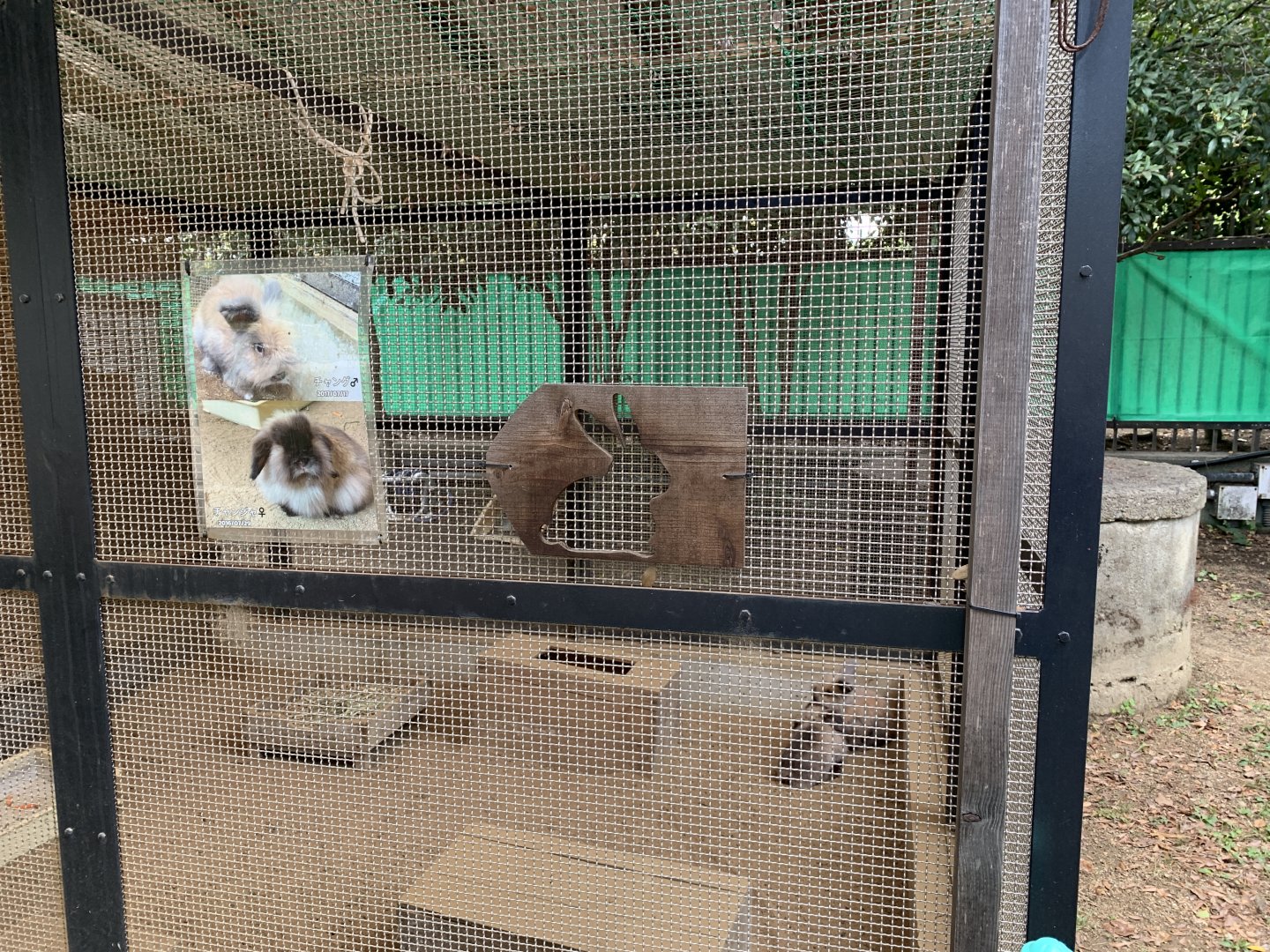 Rabbit Enclosure (Himeji City Zoo)