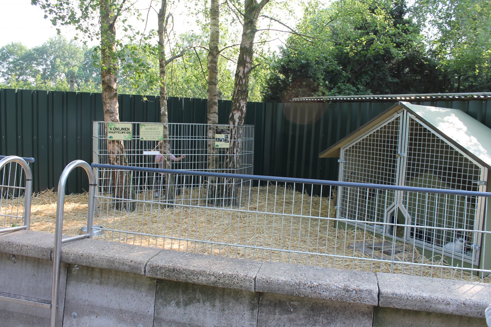 Rabbit enclosure