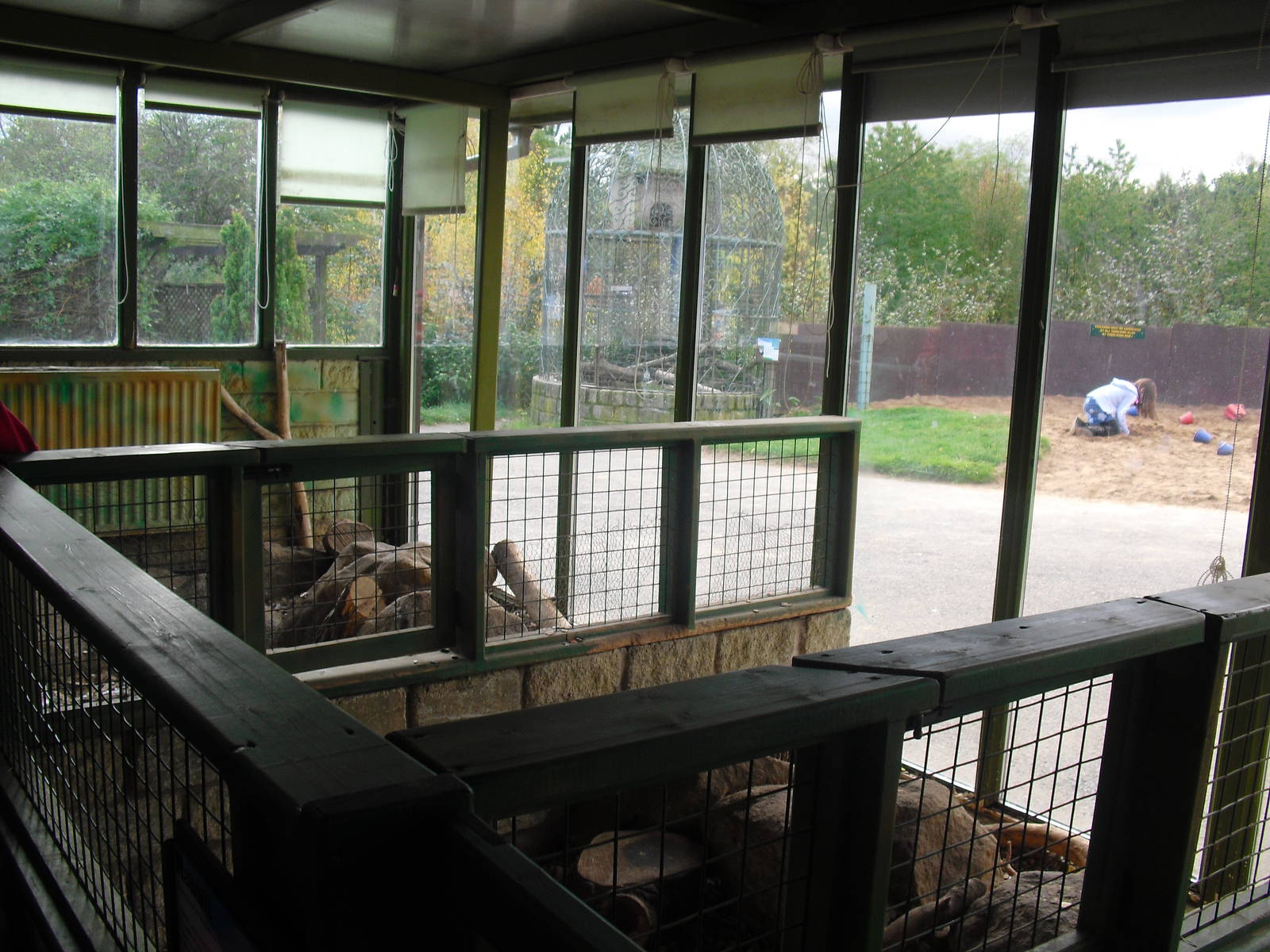 Rabbit Enclosures - 16/10/2011