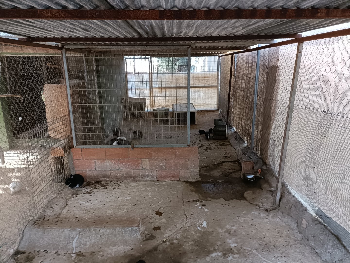 Rabbit exhibit - Bioparque La Rocha