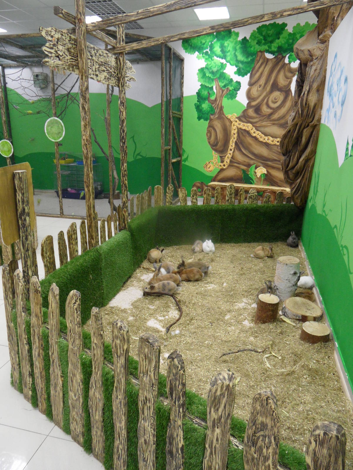 Rabbit exhibit