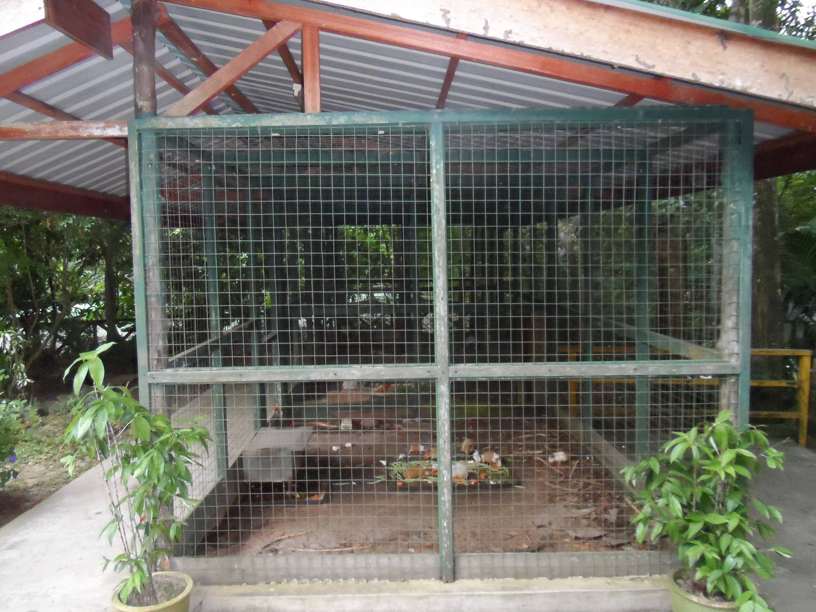 Rabbit Exhibit