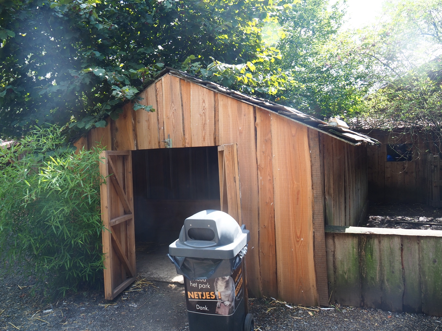 Rabbit, guinea pig and pigeon barn