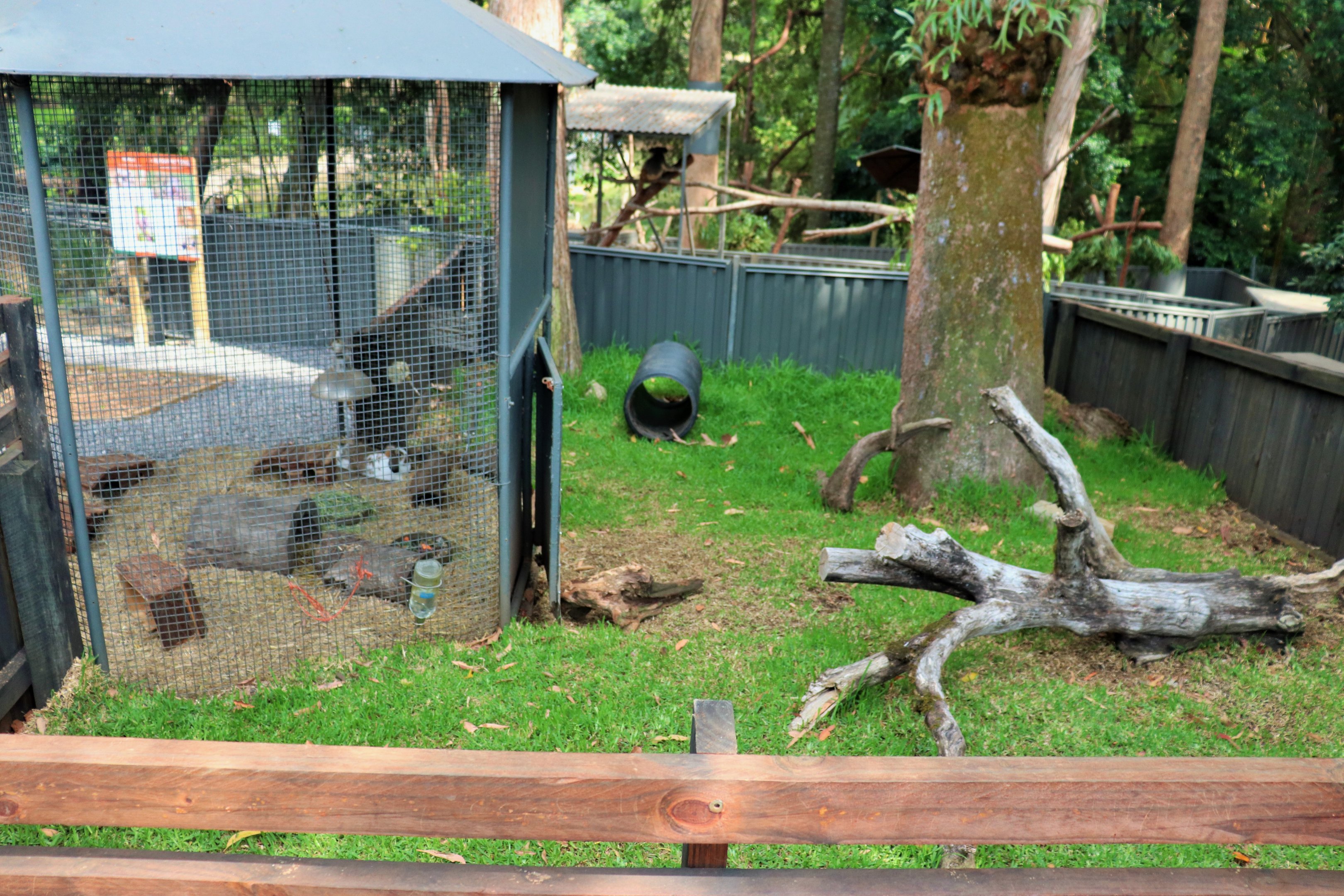 Rabbit/Guinea Pig Enclosure