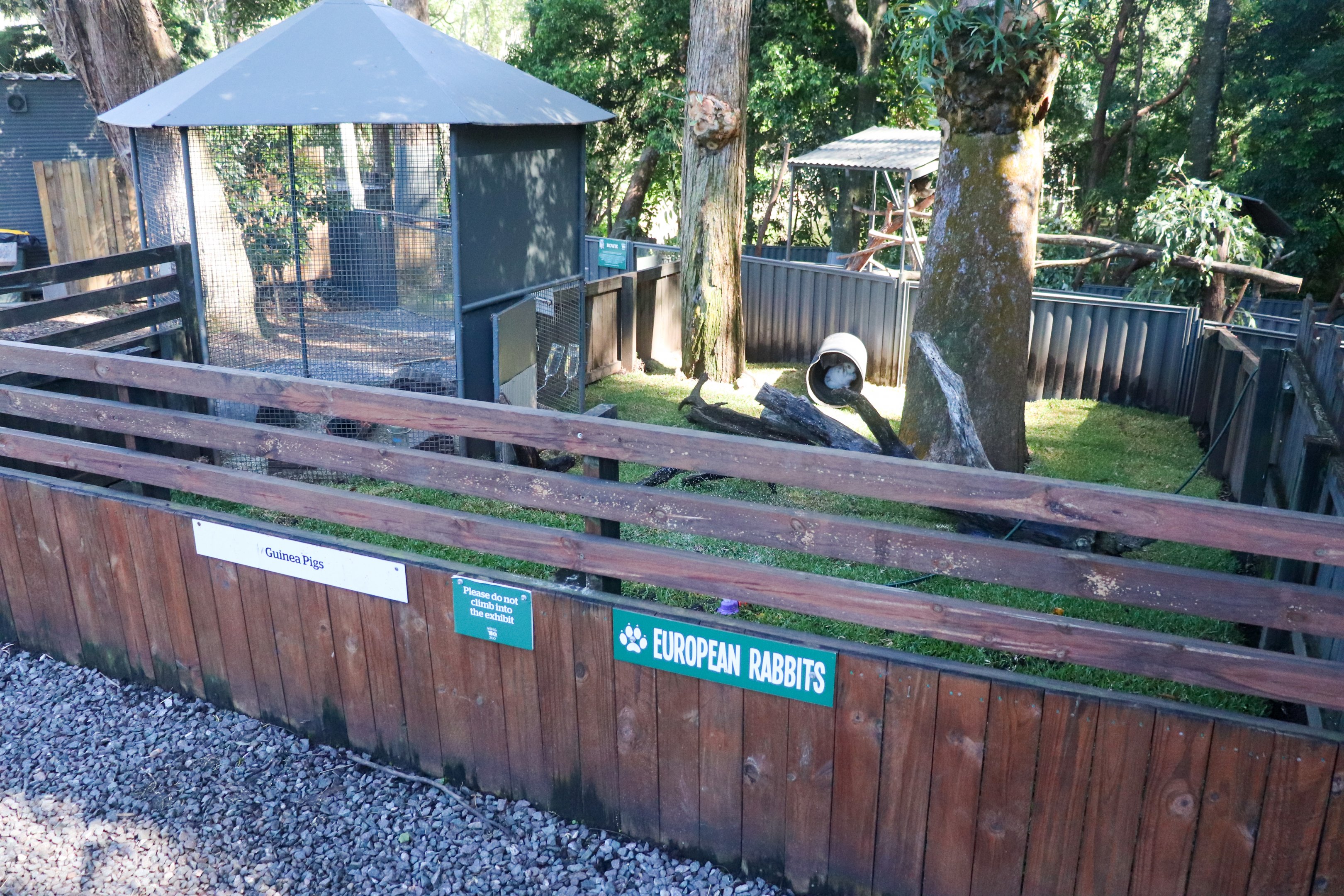 Rabbit/Guinea Pig Enclosure