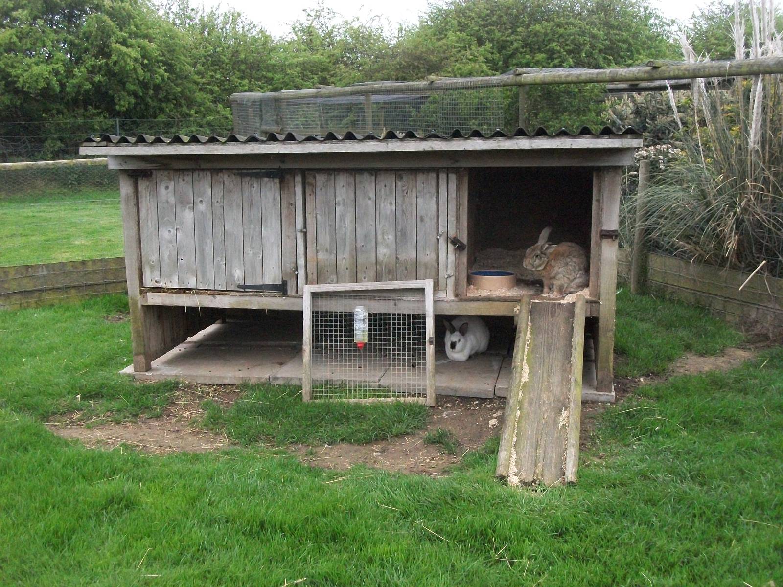 Rabbit housing, 1st May 2014