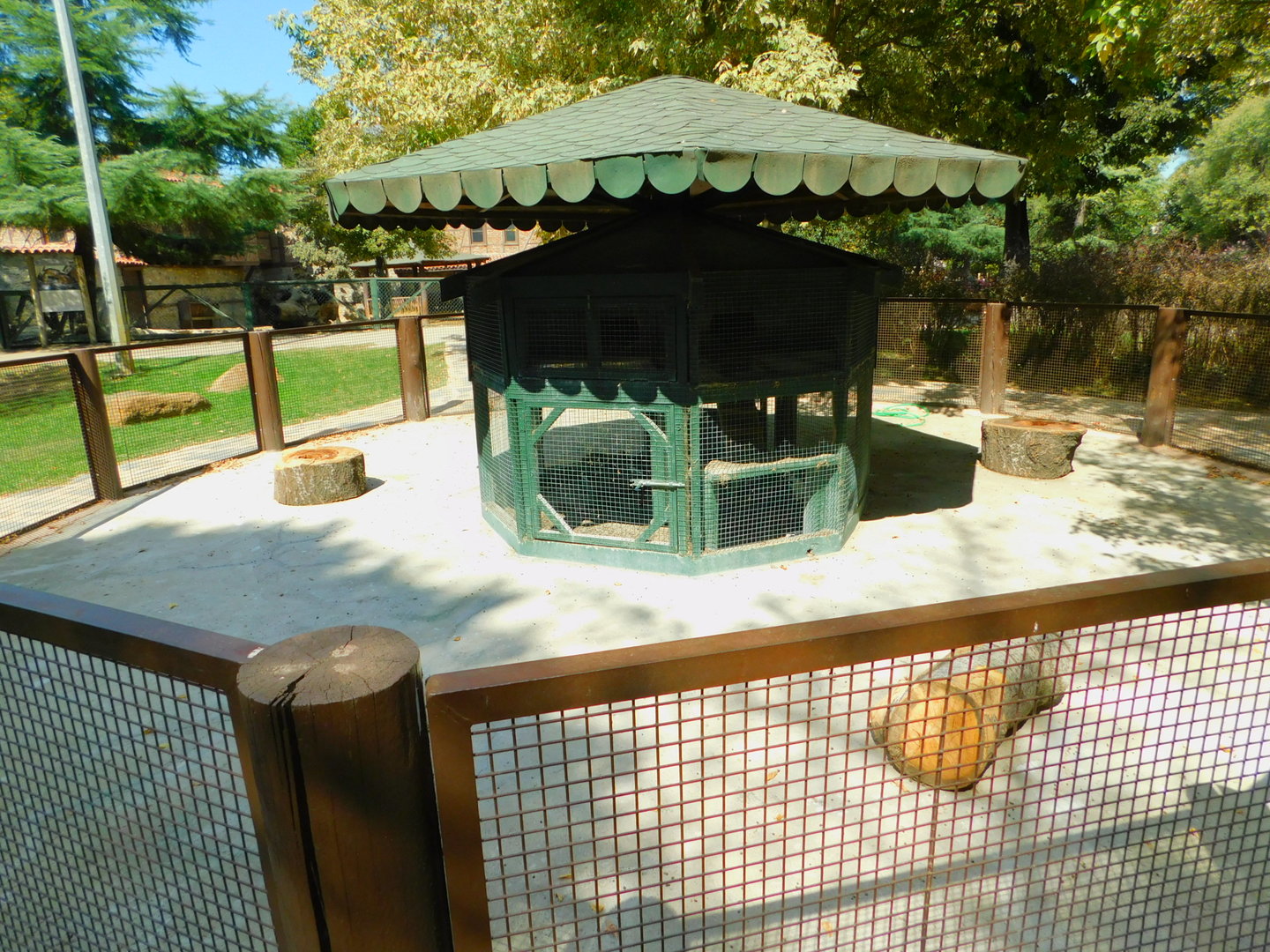 Rabbit Hutch and Pen