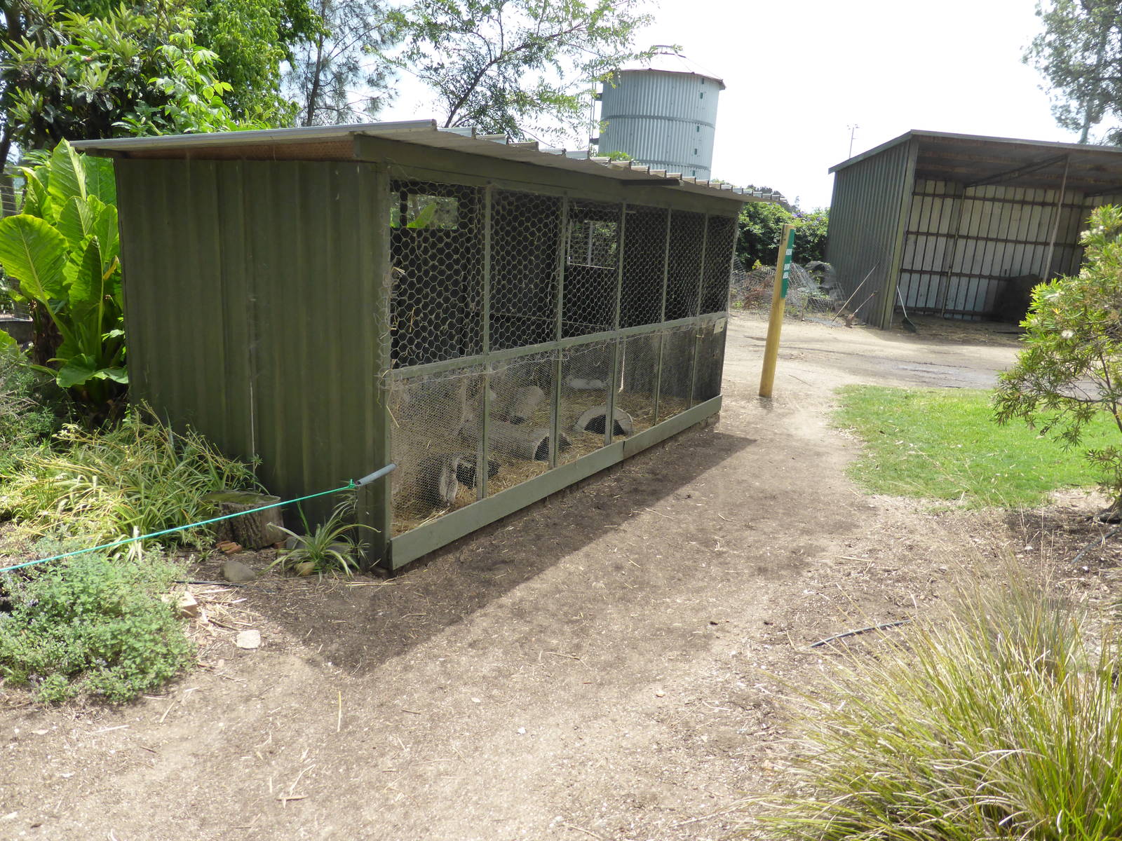 Rabbit hutch