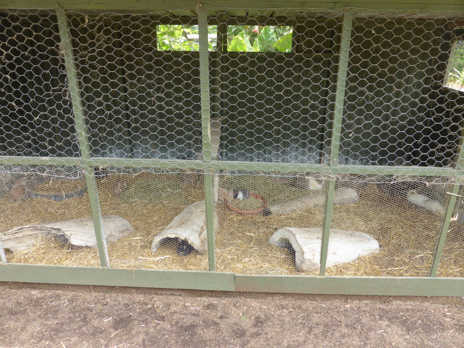 Rabbit hutch