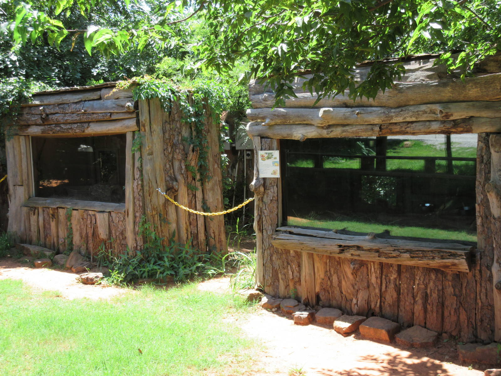 Rabbit + Kinkajou Exhibits