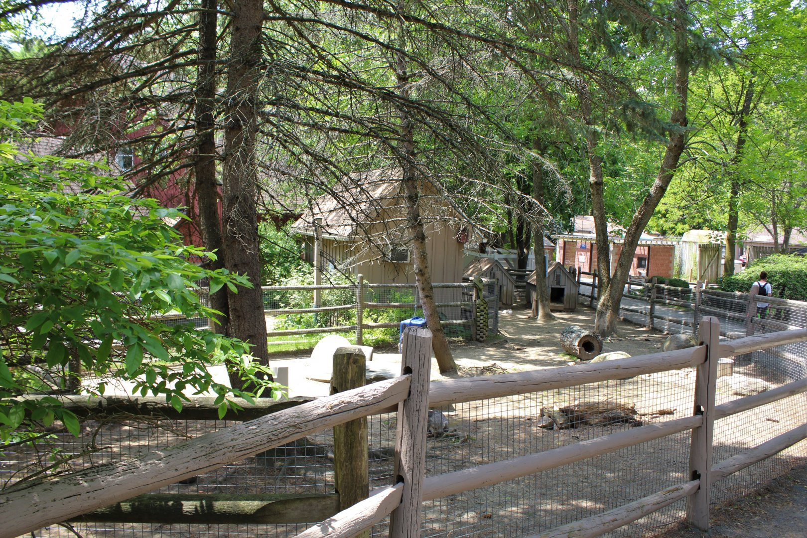 Rabbit, Mara, & Tortoise Enclosure