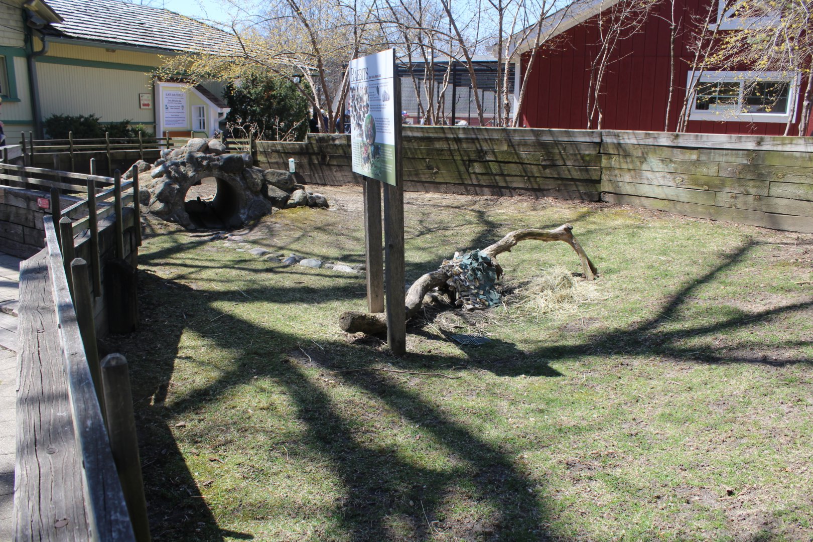 Rabbit Pen - Animal Care Center