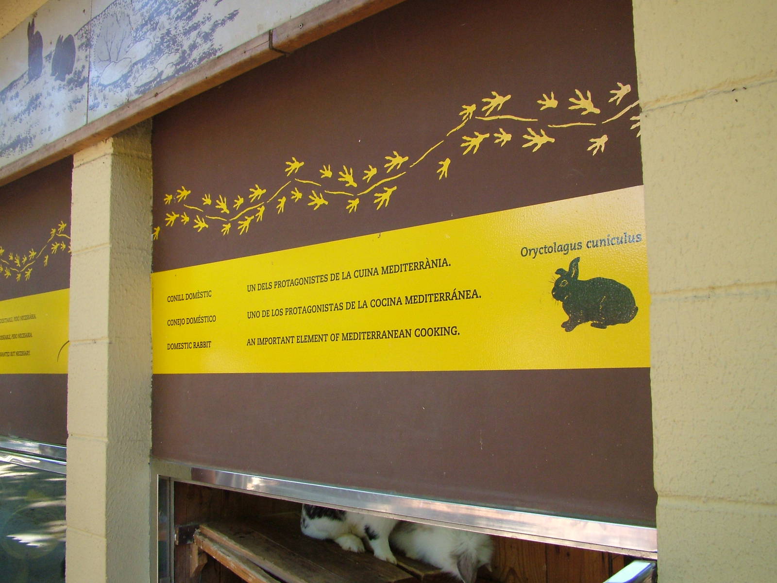 Rabbit Signage at Barcelona, 30/05/11