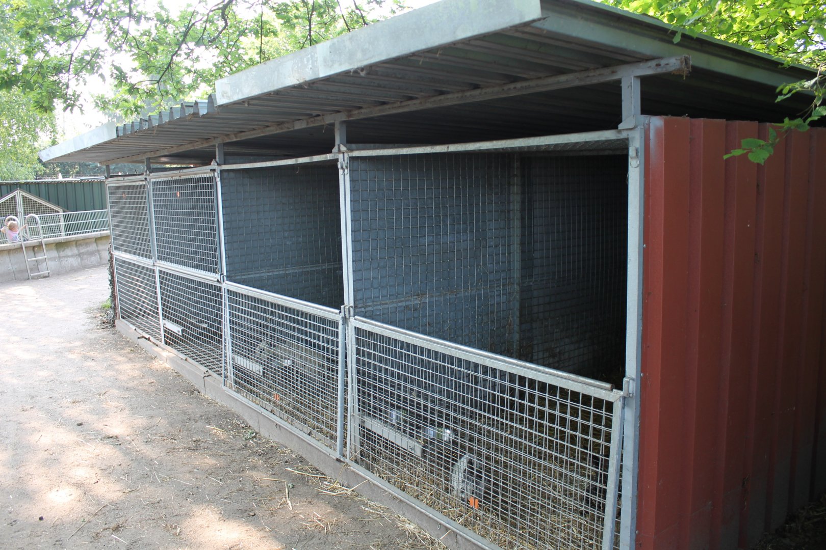 Rabbit-stables