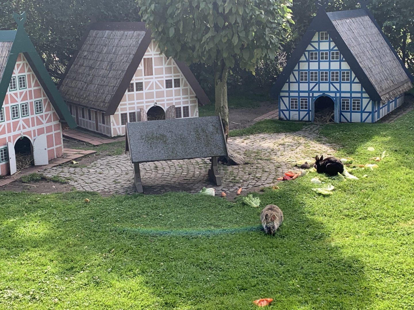 Rabbit village