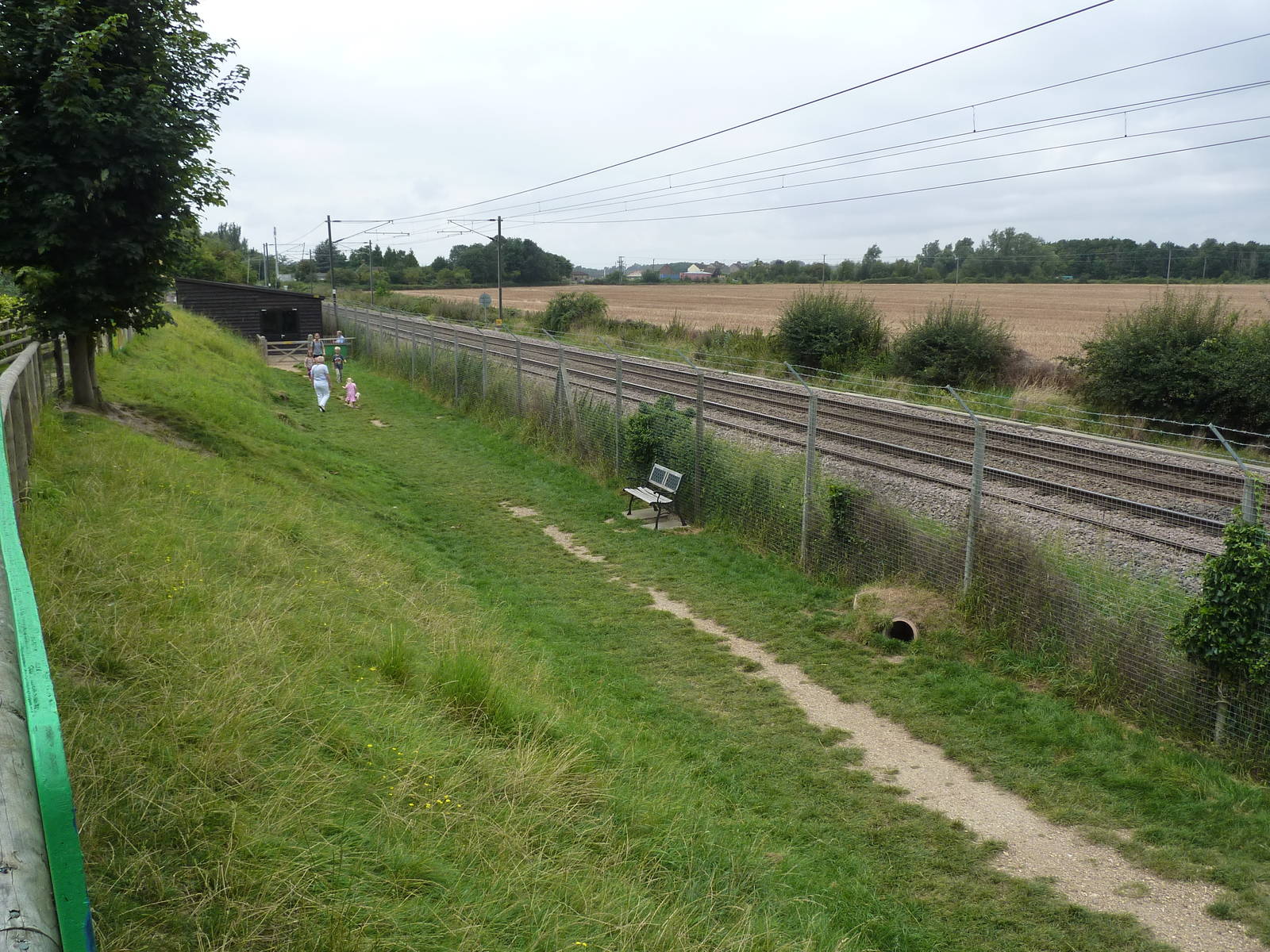 Rabbit walk-through enclosure - 20th August 2012