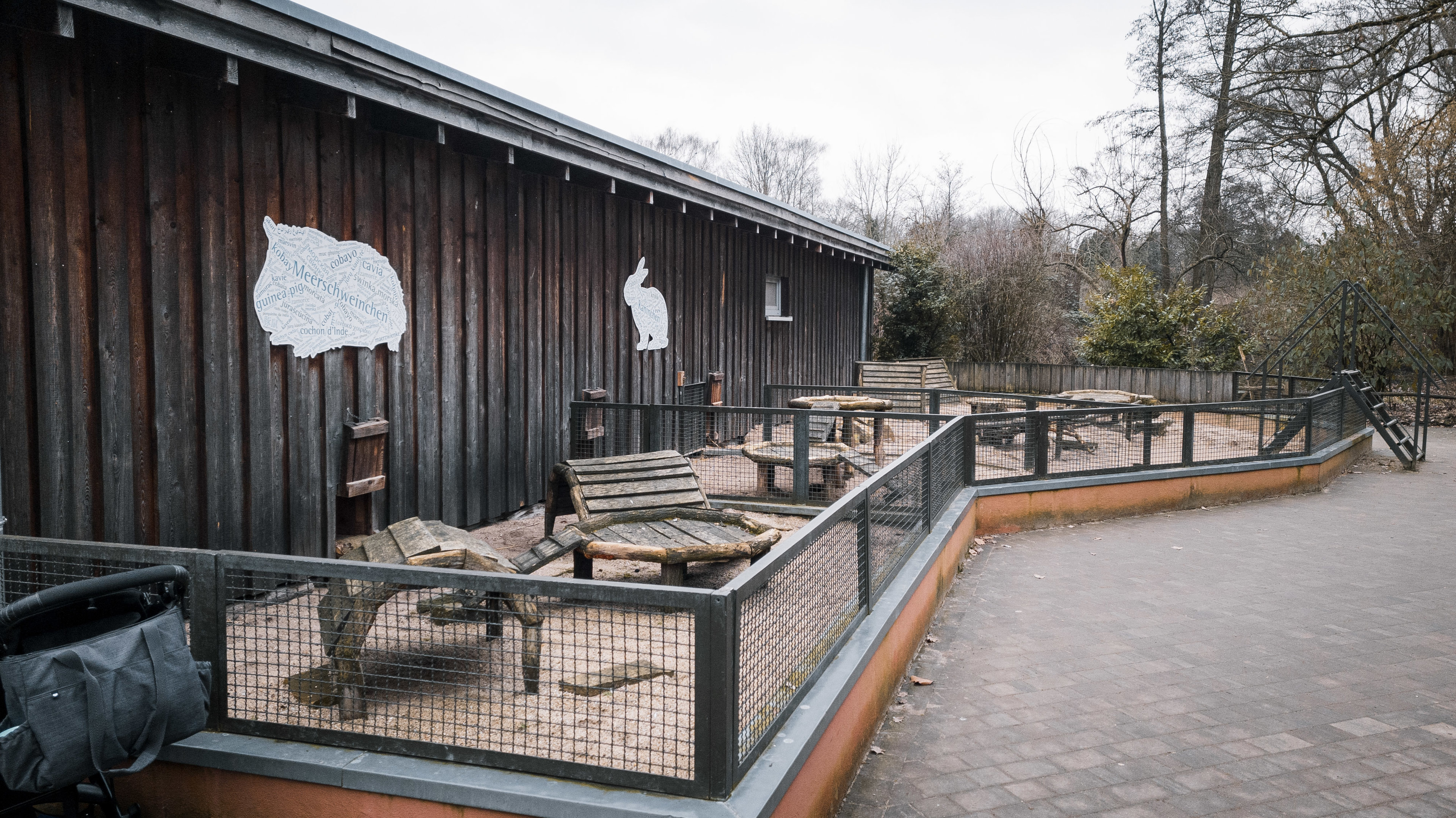 Rabbits and Guinea Pigs