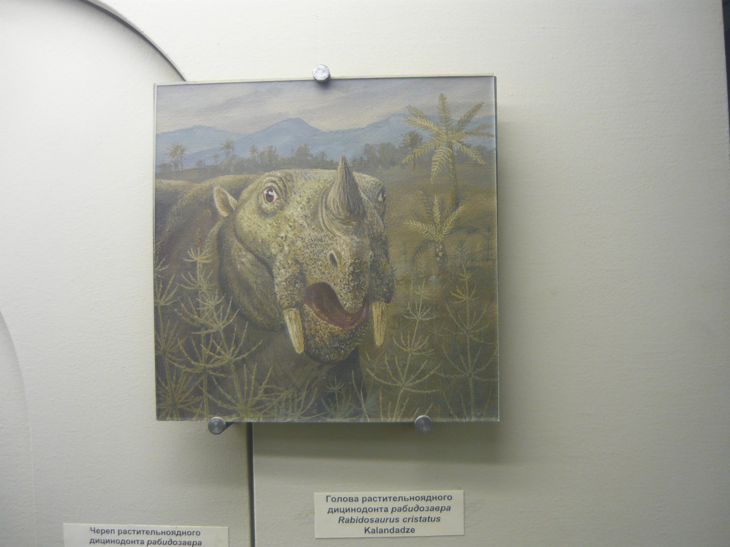 Rabidosaurus cristatus reconstruction