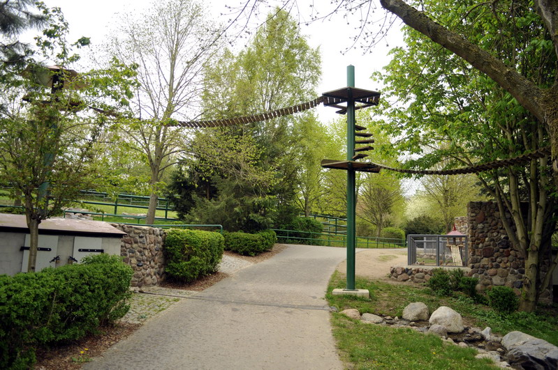 Raccon-bridges at Tierpark Wismar