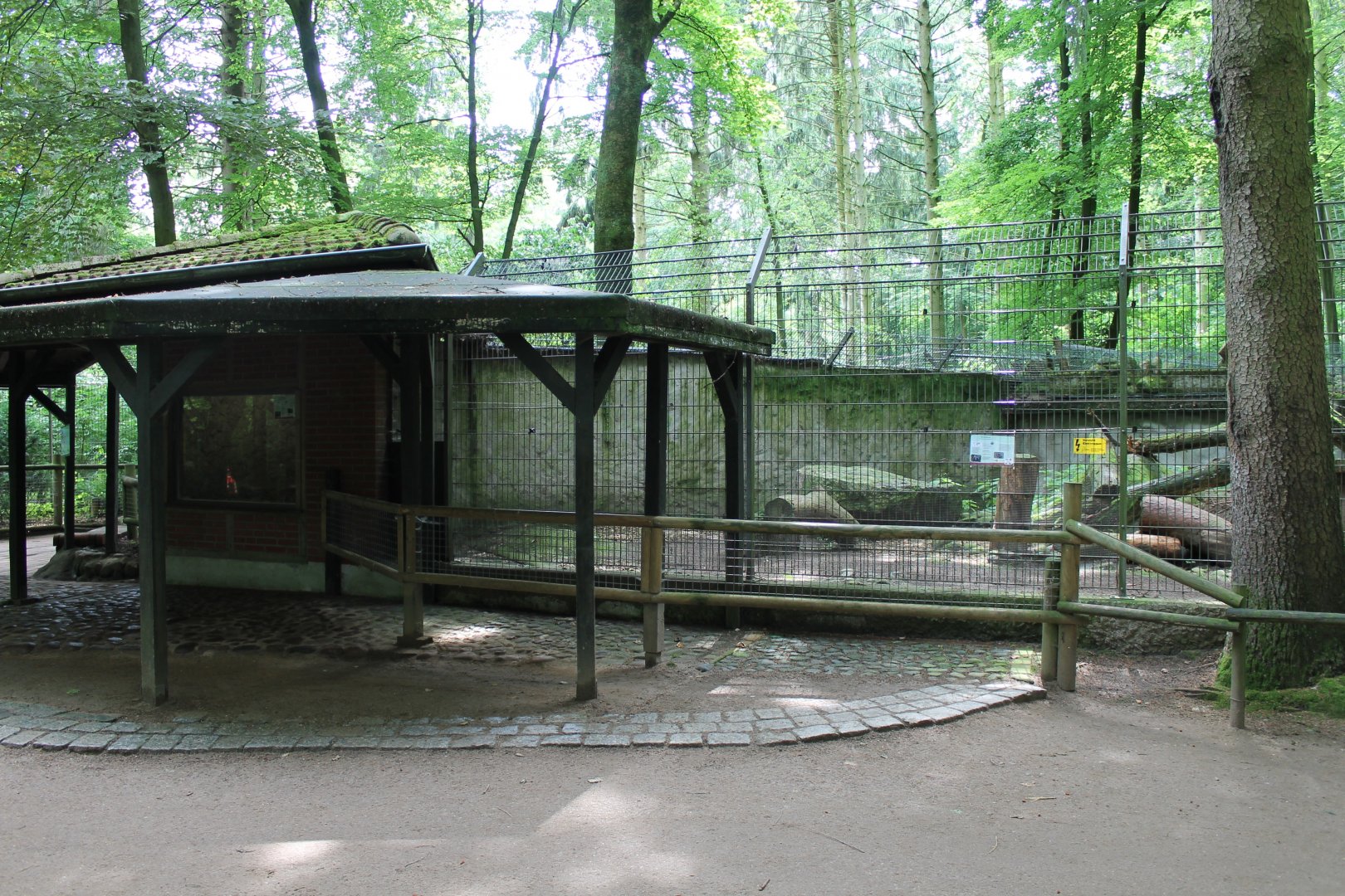 Raccon-dog Enclosure