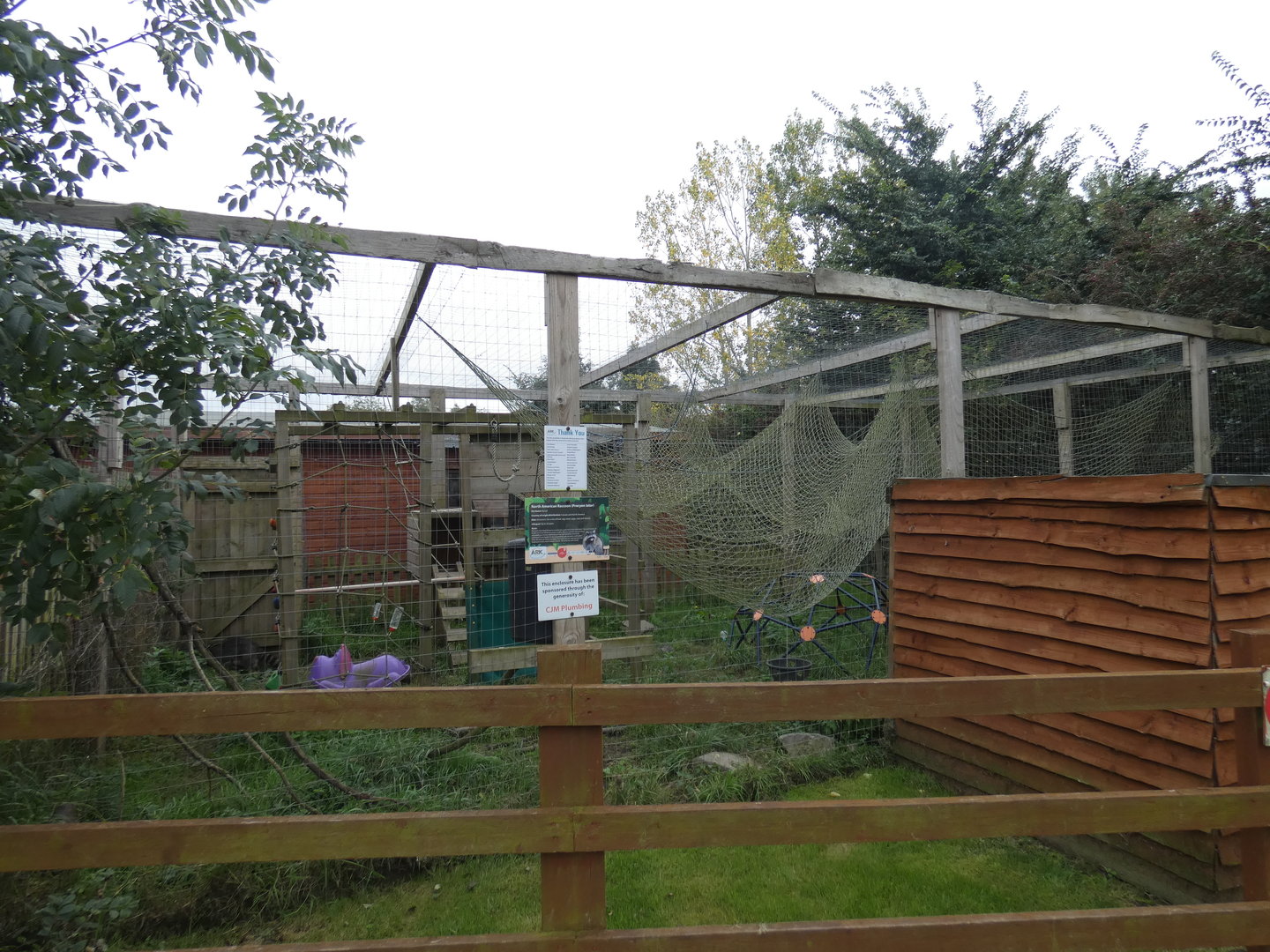 Raccon enclosure