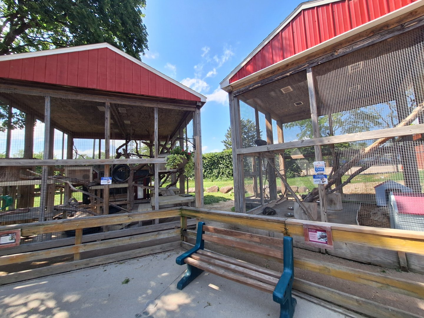 Raccoon and Porcupine enclosures