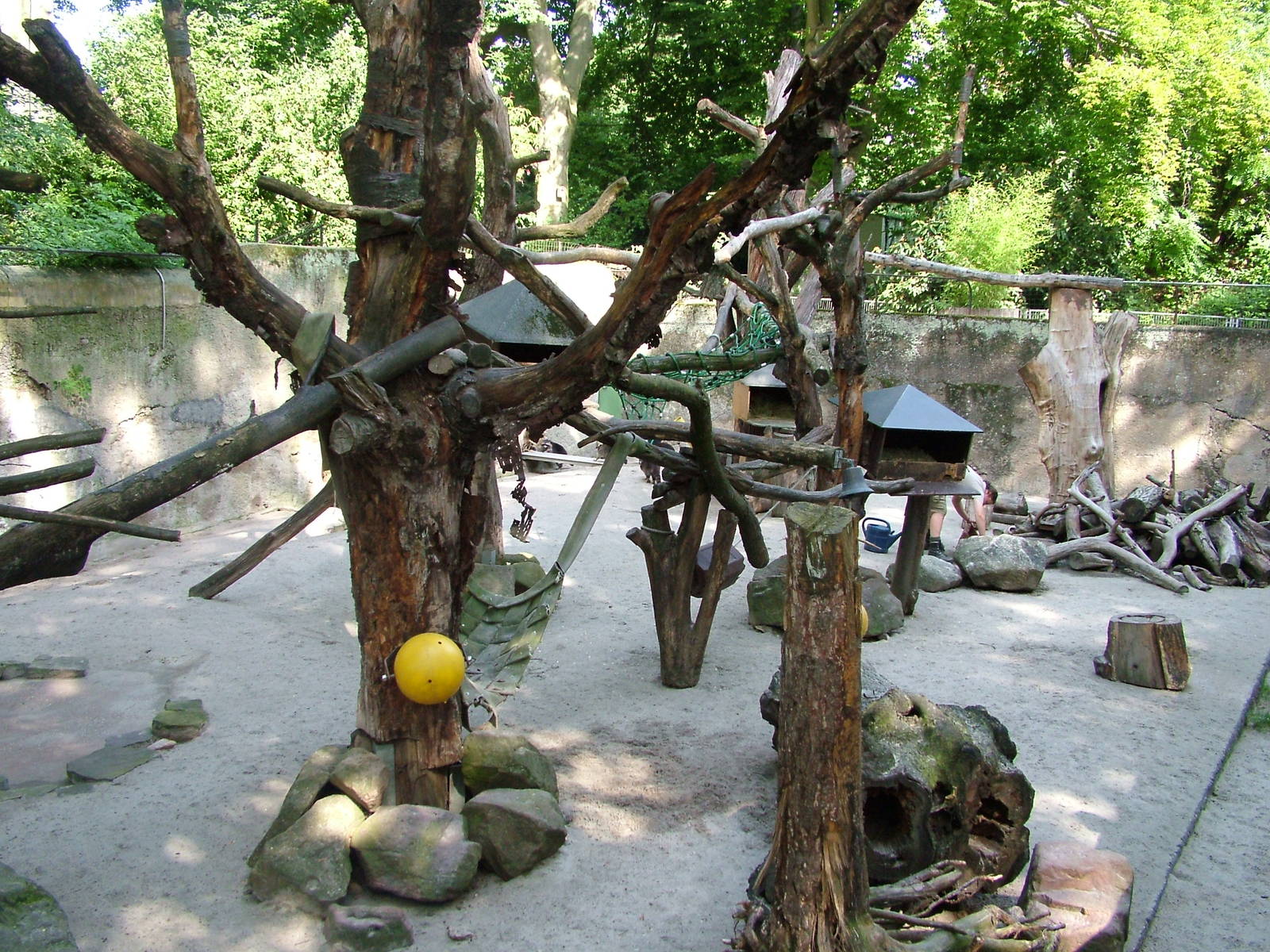 Raccoon and Porcupine Exhibit at Heidelberg, 05/09/10