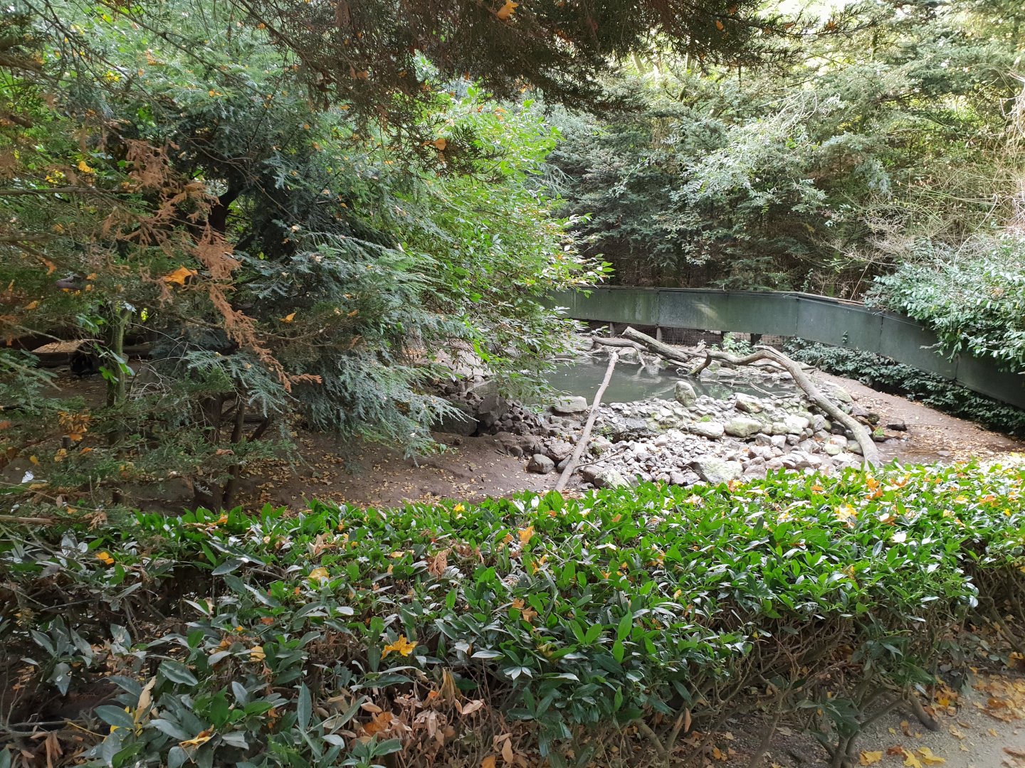 Raccoon and Raccoon dog enclosure