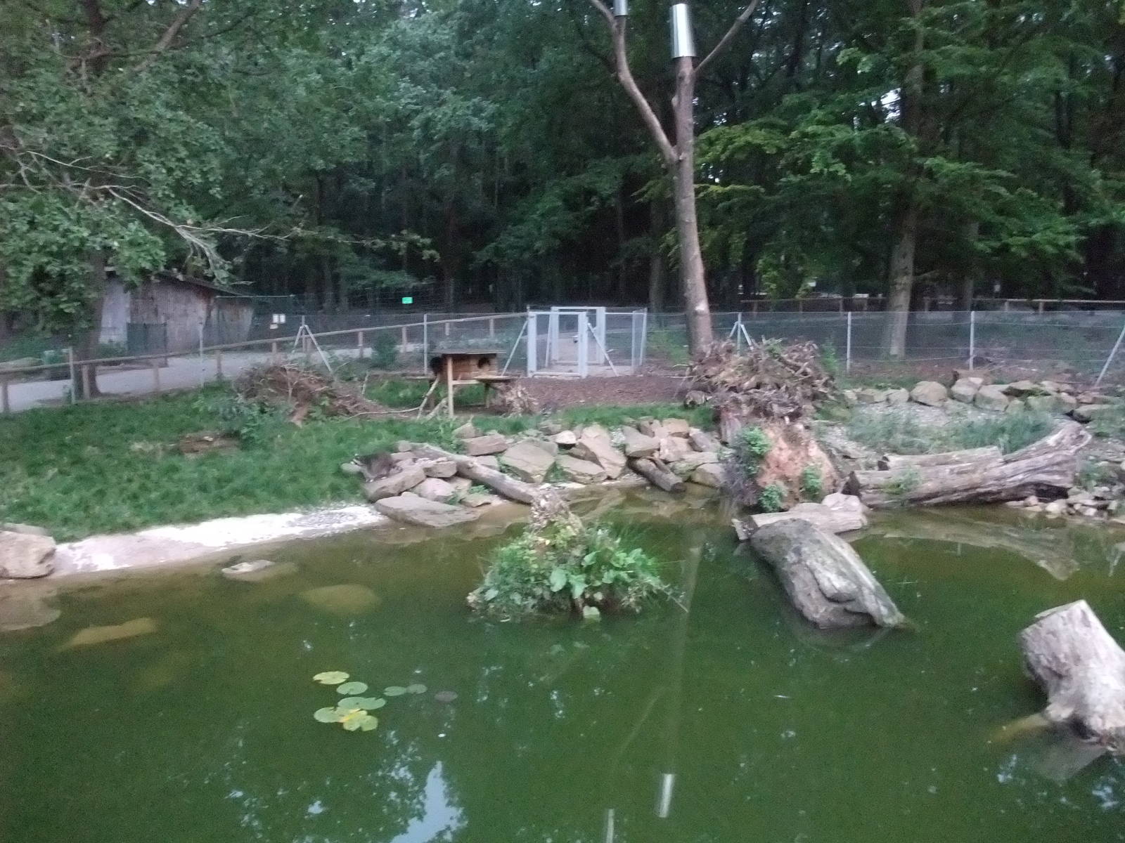 Raccoon and Raccoon Dog Exhibit at Wildpark Pforzheim, 02/09/10