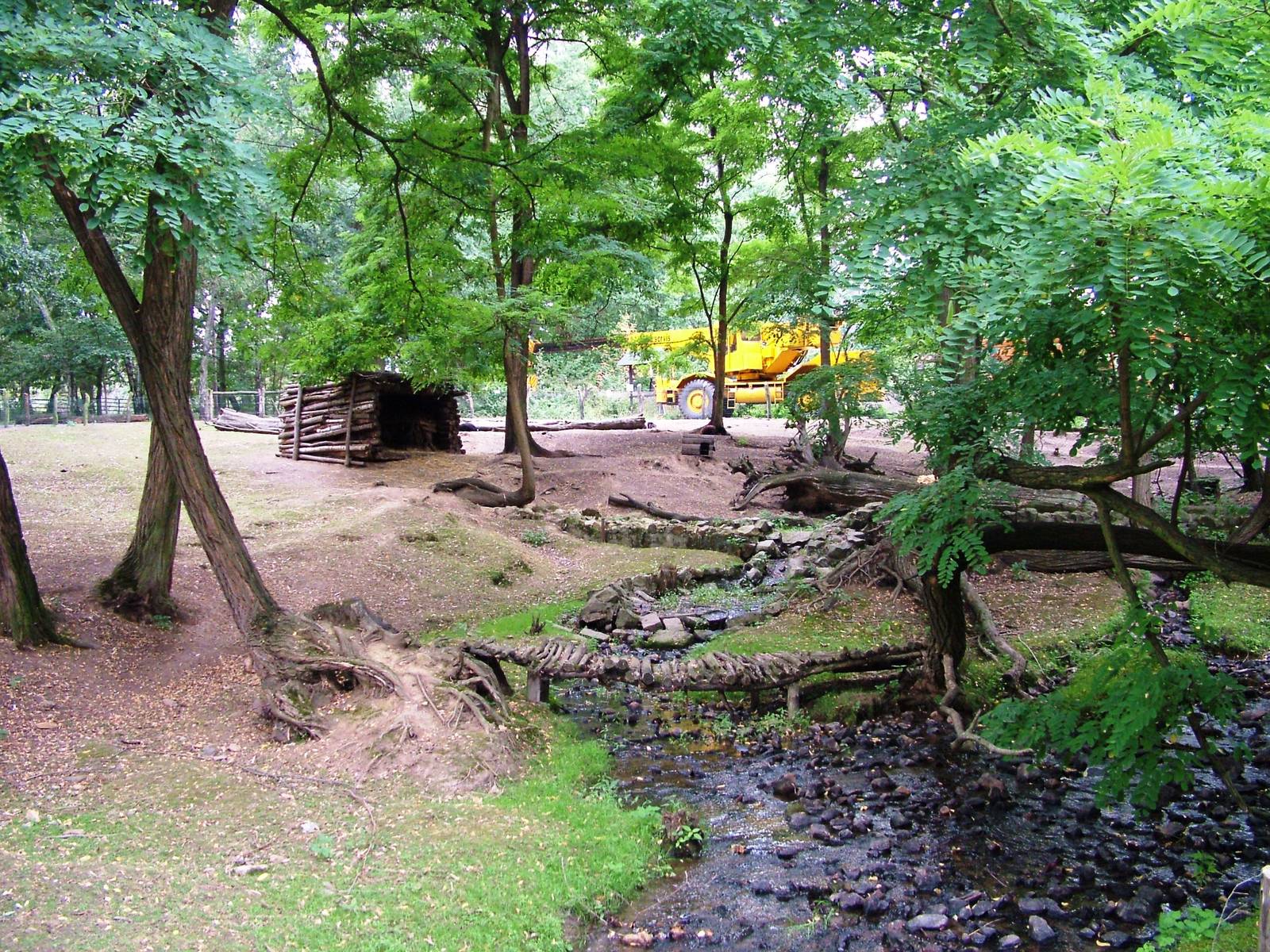 Raccoon and Sheep Enclosure at Chomutov, 30/08/12