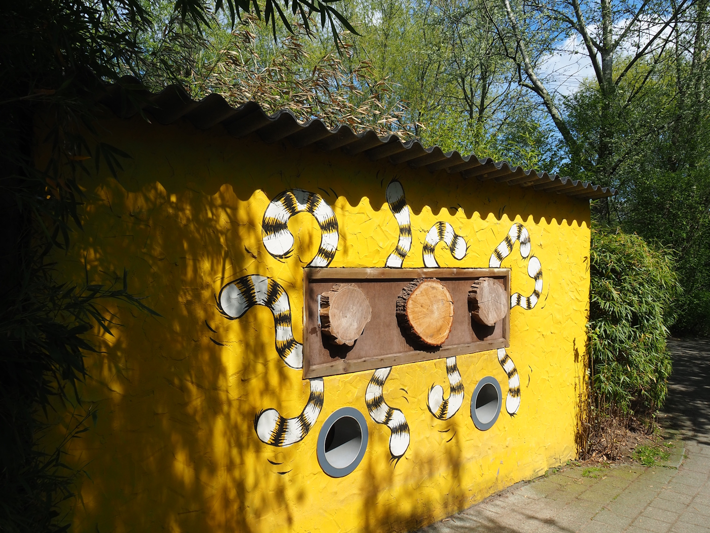Raccoon and Striped skunk barn, 2023-04-30