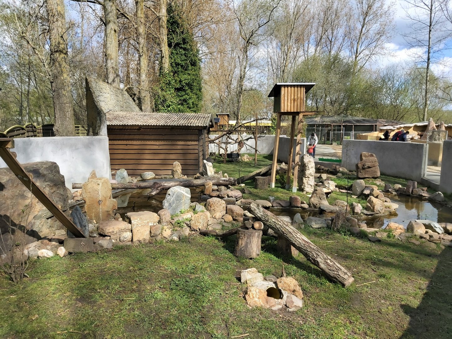 Raccoon and striped skunk enclosure