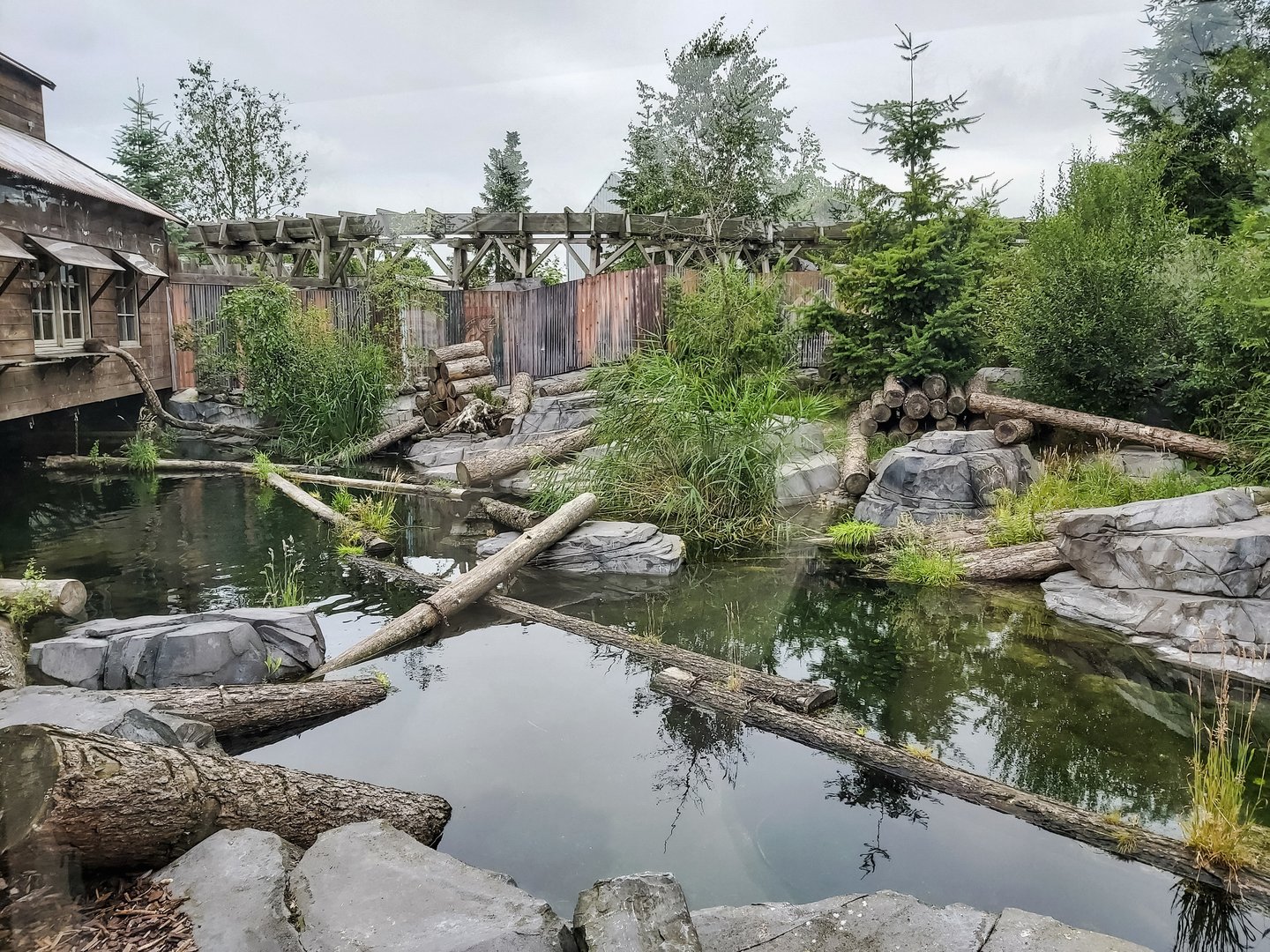 Raccoon and striped skunk enclosure