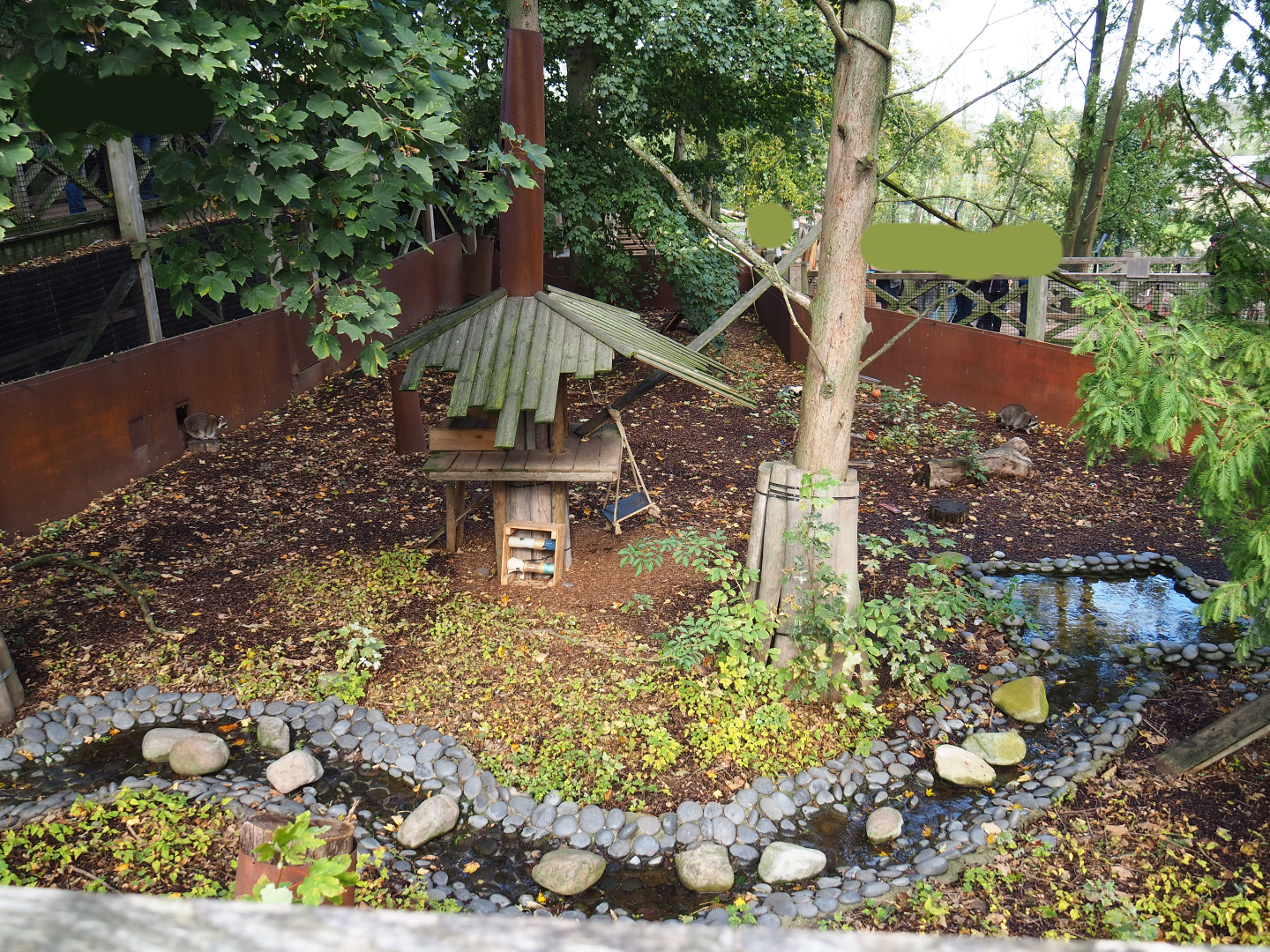 Raccoon and Striped skunk exhibit, 2019-10-04