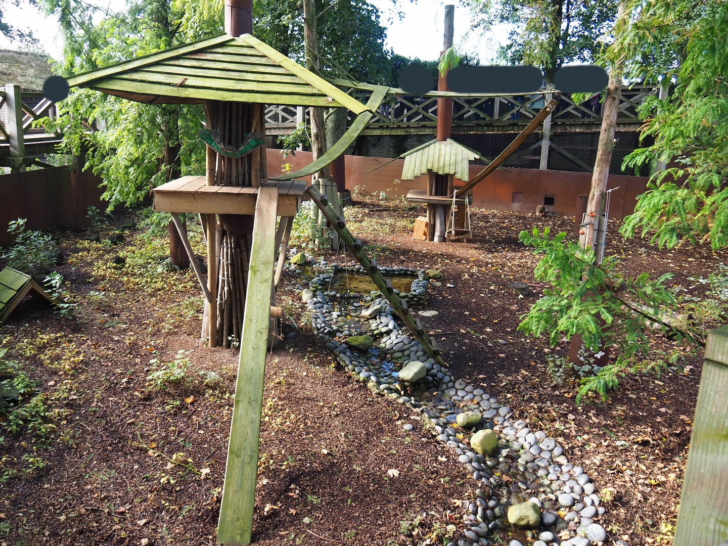 Raccoon and Striped skunk exhibit, 2019-10-04