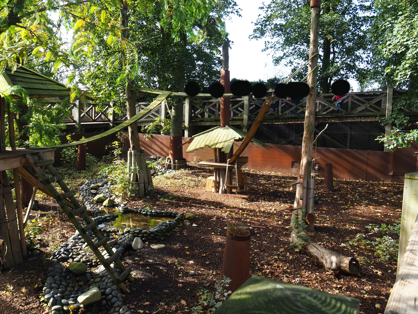 Raccoon and Striped skunk exhibit, 2019-10-04