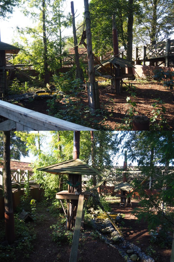 Raccoon and Striped skunk exhibit, 2020-09-02