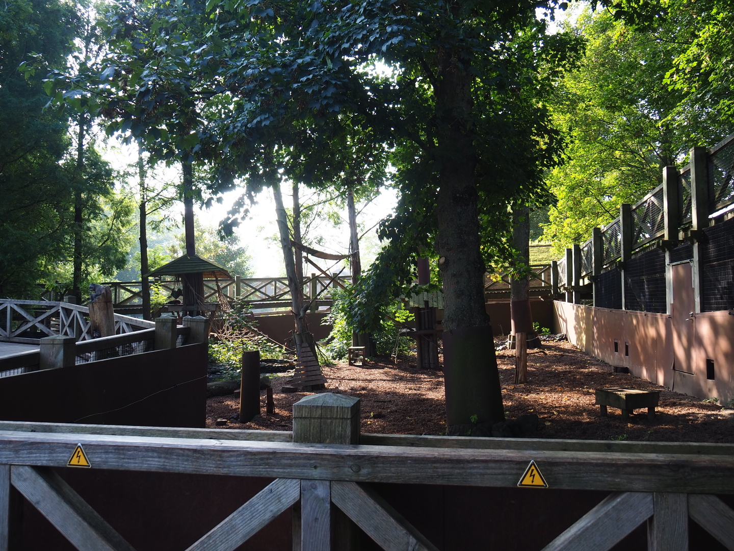 Raccoon and Striped skunk exhibit, 2021-09-02