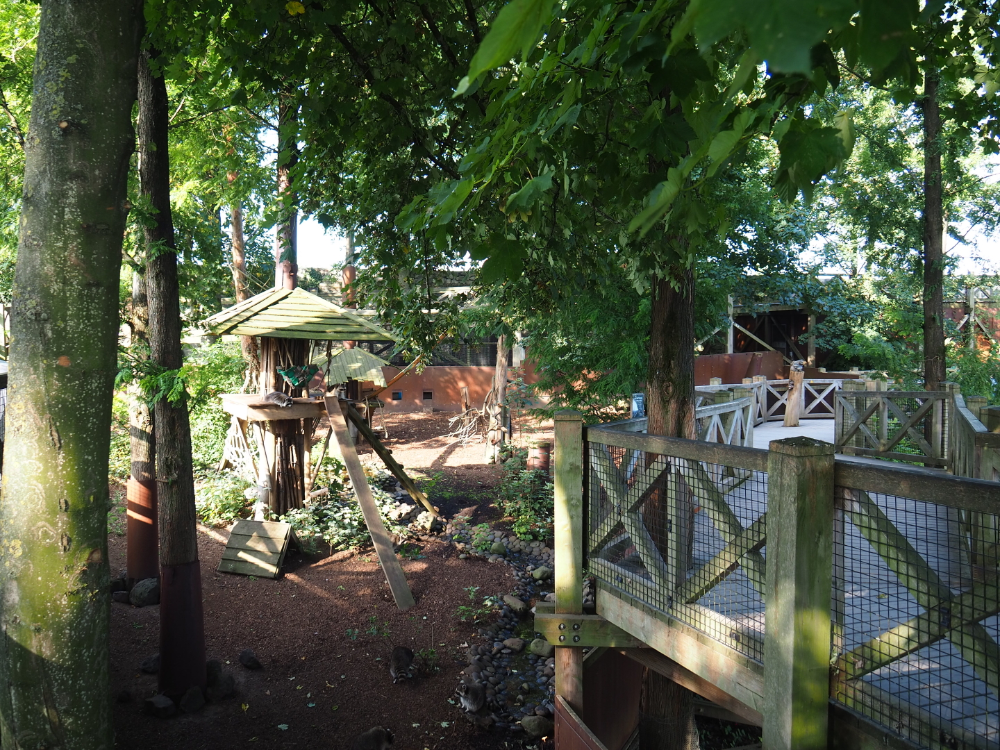 Raccoon and Striped skunk exhibit and viewing area, 2021-09-02