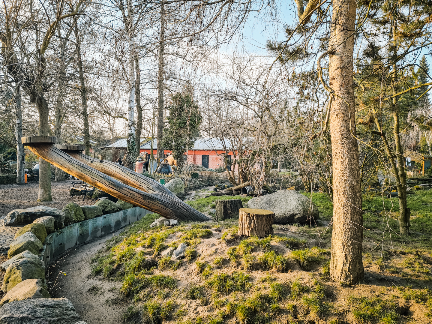 Raccoon and Striped Skunk