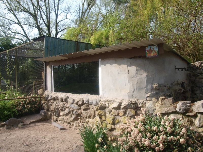 Raccoon barn (April 19th, 2015)