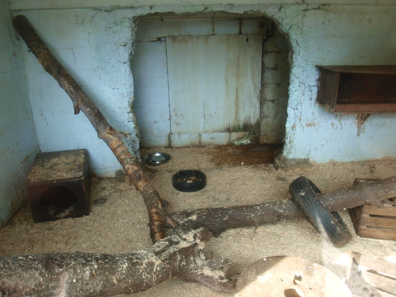 Raccoon barn, inside (April 19th, 2015)