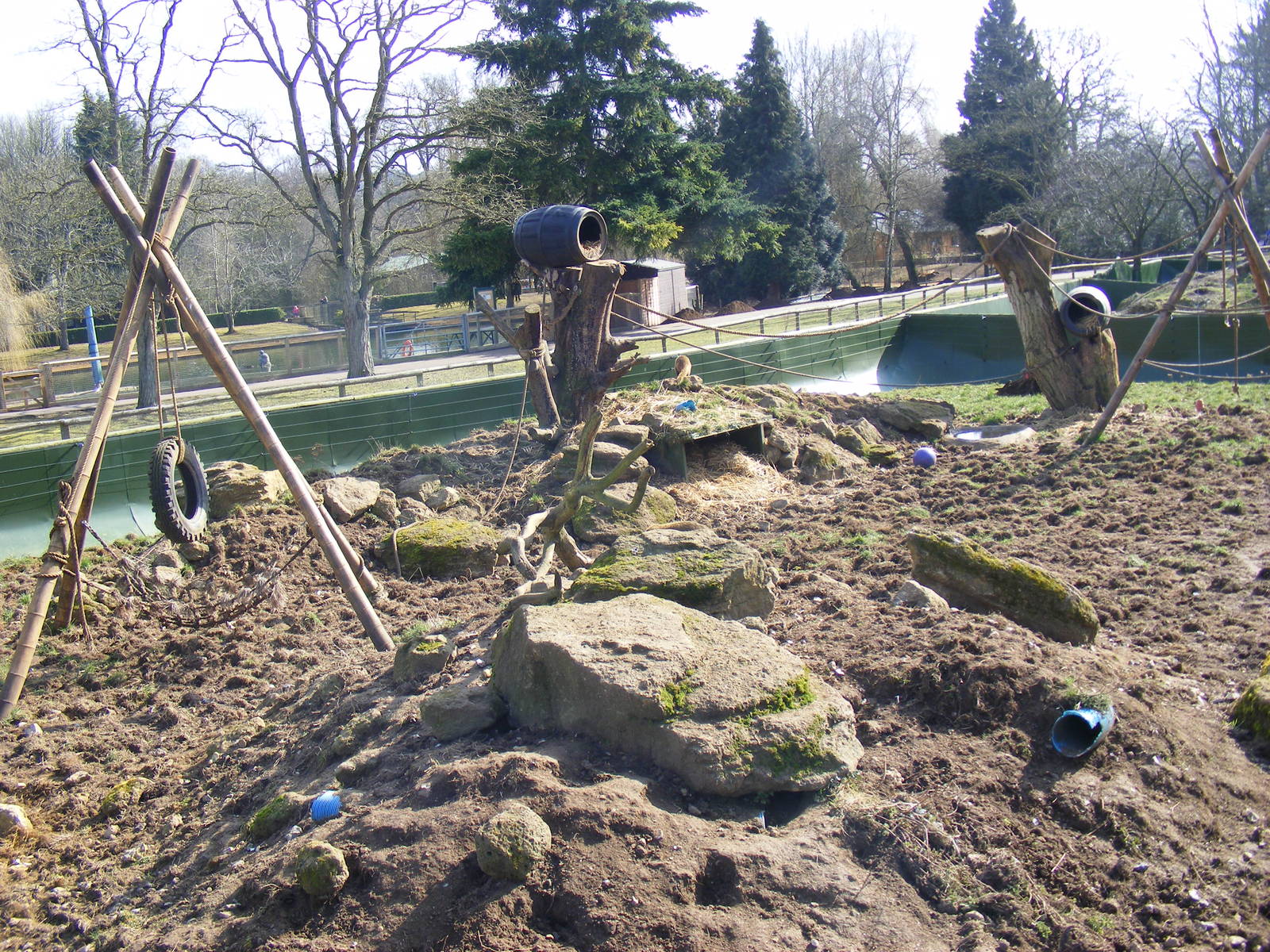 Raccoon/coati enclosure at Beale Park, 13th March 2010