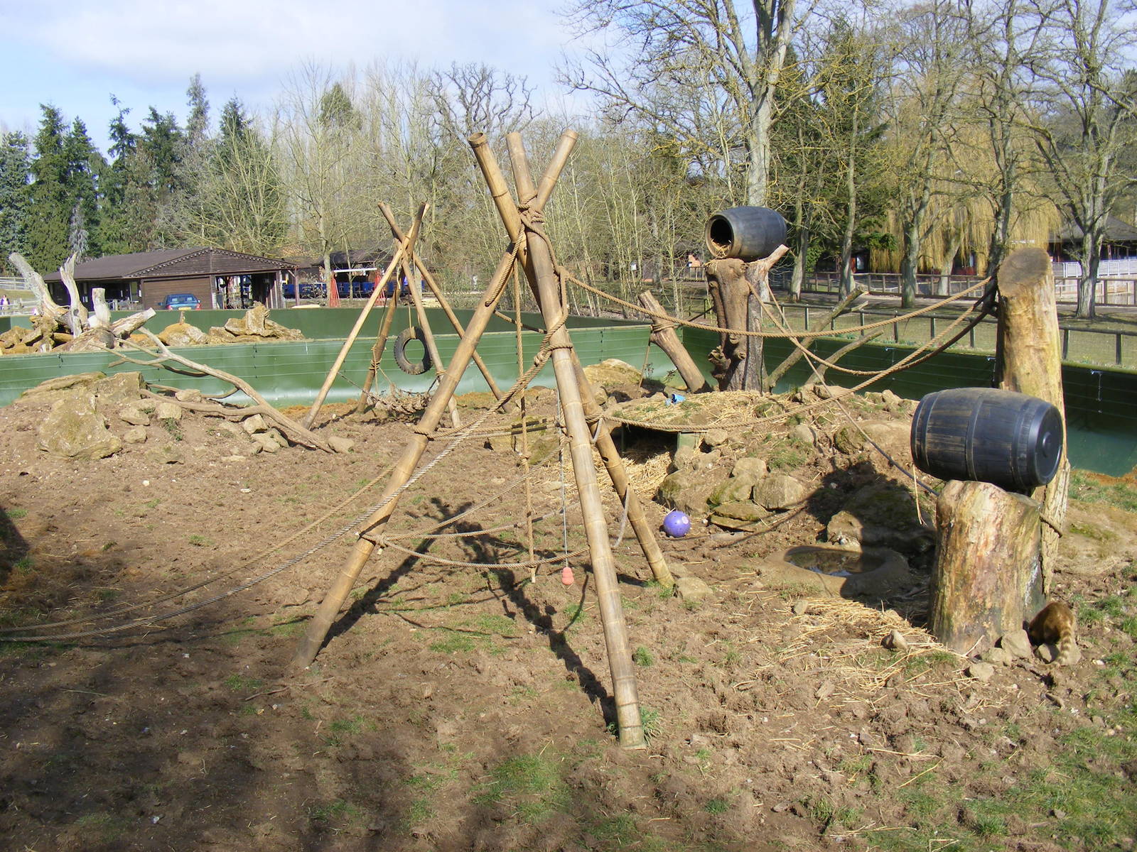 Raccoon/coati enclosure at Beale Park, 13th March 2010