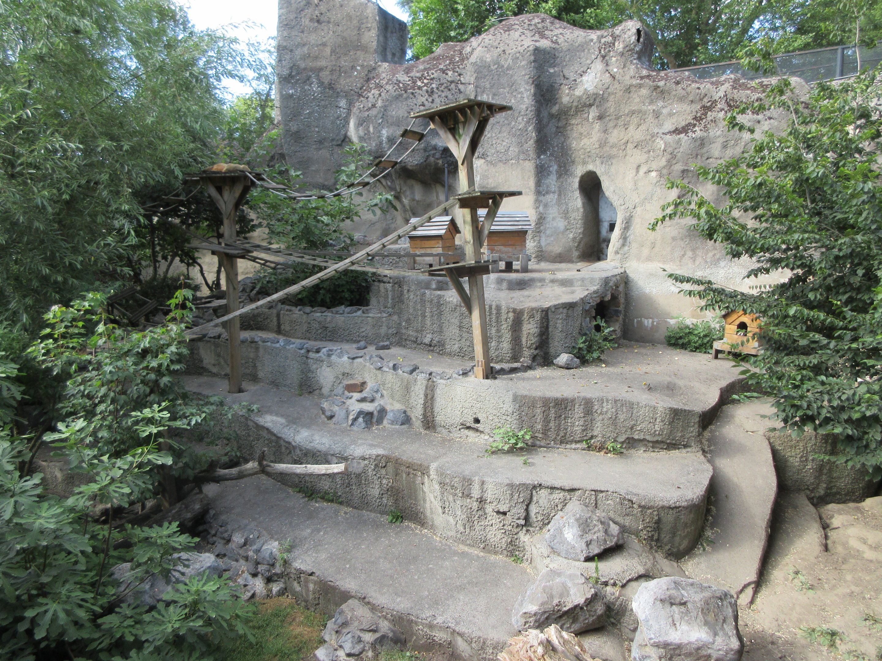 Raccoon/Coati Exhibit (old bear grotto)