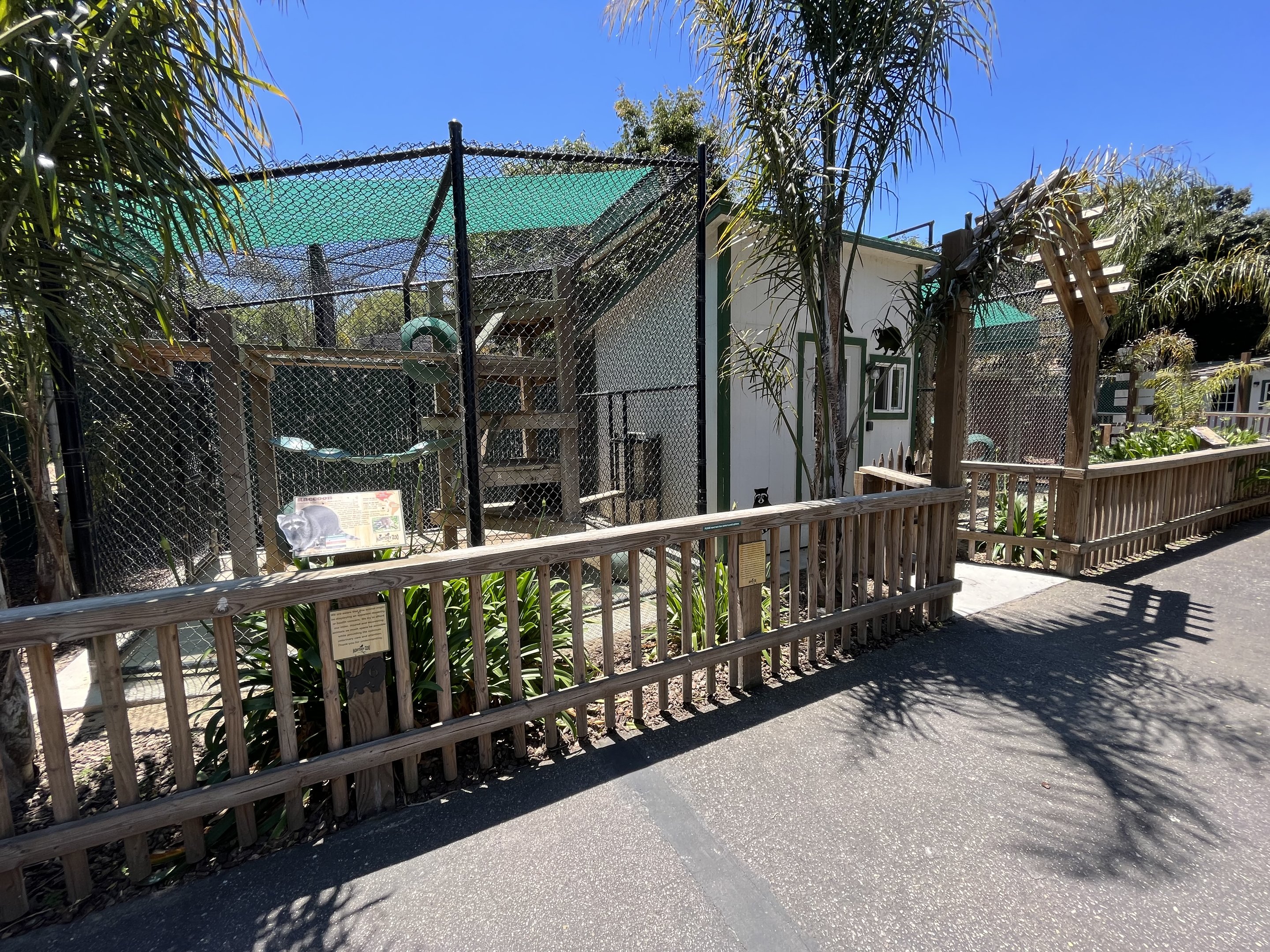 Raccoon + Coati Exhibits